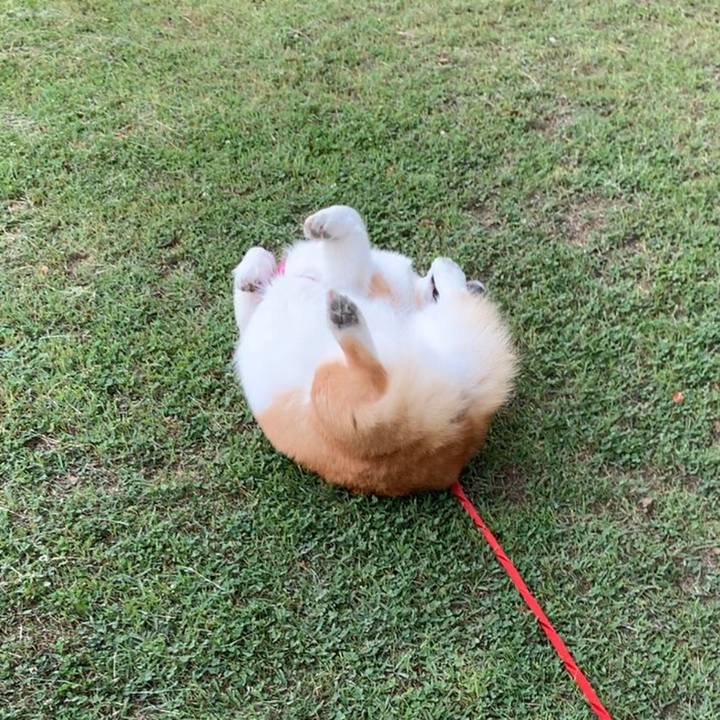 7e6229e6 ba3a 487f b5f0 6ed153e0d029 1623381117435