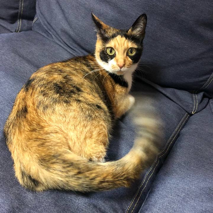 7e62814b 27d1 4444 9269 bdd7ddcb4840 1529588099556