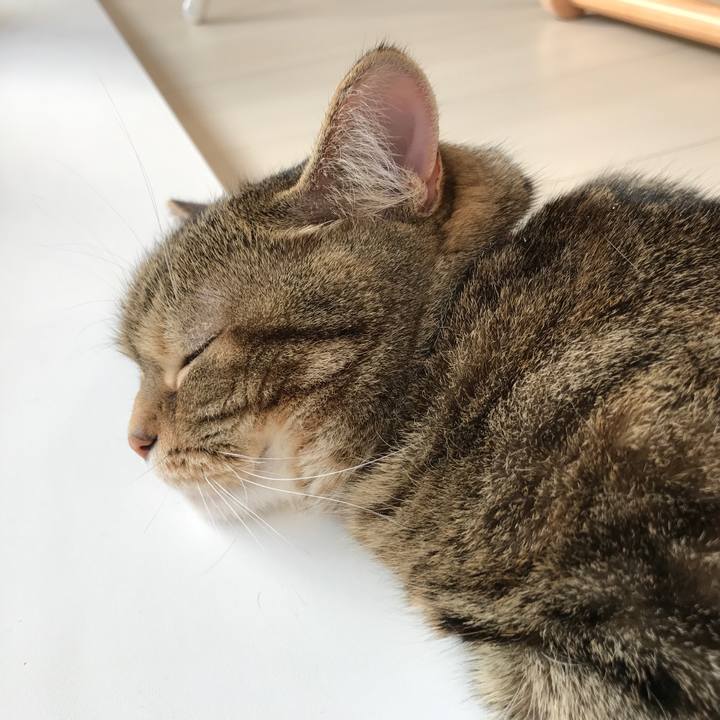 7e62c500 c536 40a1 b798 fce2214684a1 1523229824356