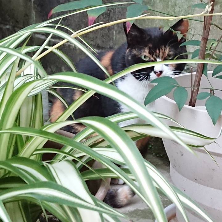 7e62e4cd 48d1 4092 b1b4 56bdc0d9fd4f 1664707143495