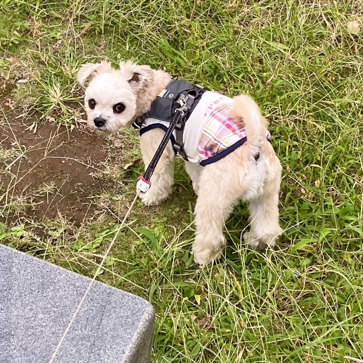 7e62f49f 36e2 4cc5 a8ab 695320f87bdd 1569575280960