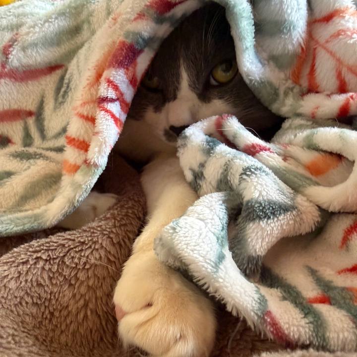 7e630a56 852d 4504 9580 5d205f5c2f76 1764916208307