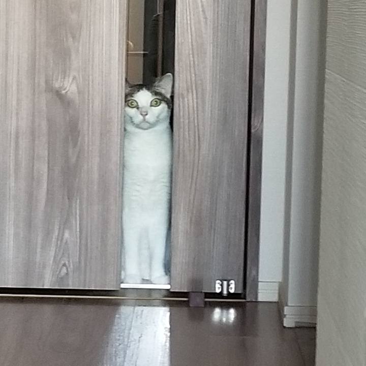 7e633001 cbcc 42de 8857 595da9930152 1557099348976