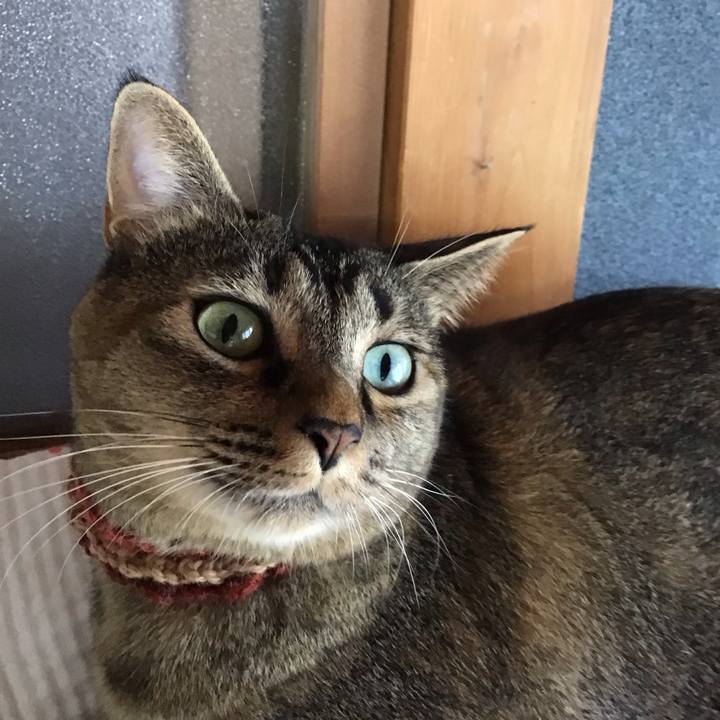 7e634b8f b9e8 4111 ac10 4e66508c0cce 1630820438846