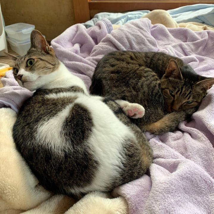 7e639ee5 b150 453b a5fa e0a97d480108 1573001811141