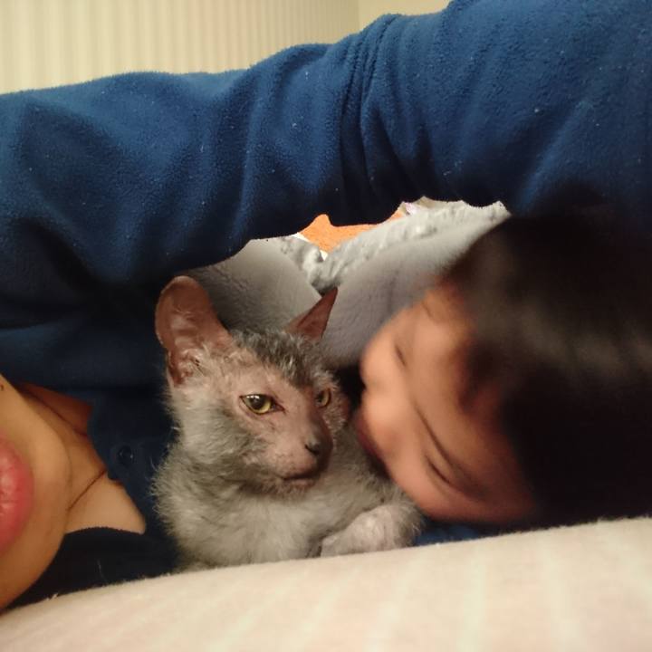 7e63e26e dc00 4188 9993 c4b3890105f1 1523365057368