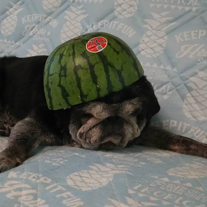 7e6418b3 0472 414d a62f 2e6174efe665 1564677133519