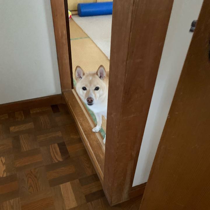 7e6427ca 9909 4942 bcdb a0fac58c0590 1633734620844