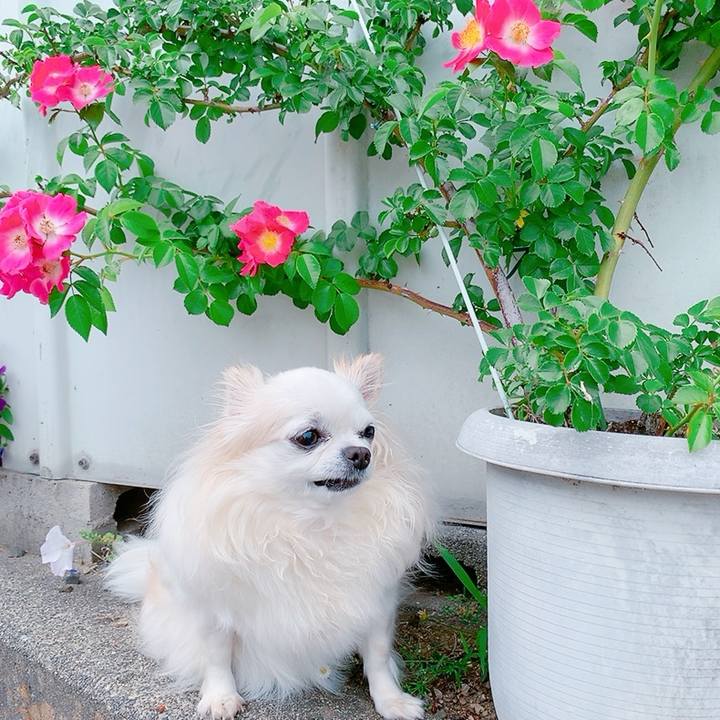 7e642bb5 2cfb 4398 ab0f 9a5b51059034 1747979825621