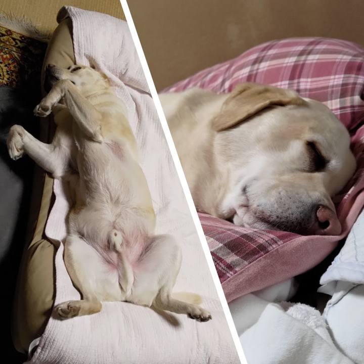 7e642c0d 32db 4997 a55b 4f0a23735d7e 1715819665706