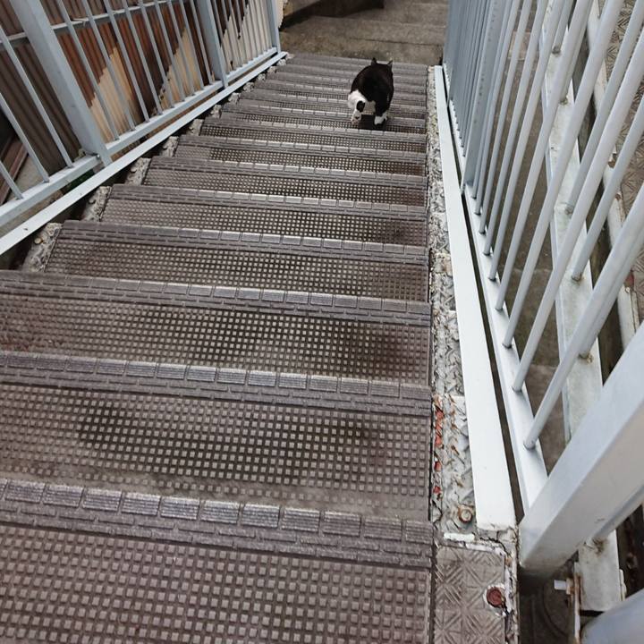 7e643a05 f3b2 4e83 88a5 0b68fff29245 1664688667430