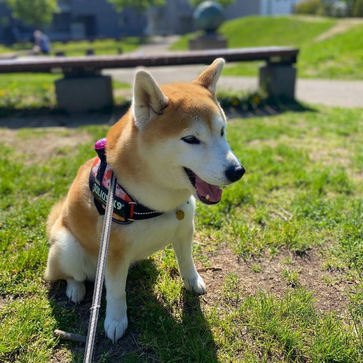 7e6463ec 3011 4f9d b892 4c132b0fc650 1652834116731