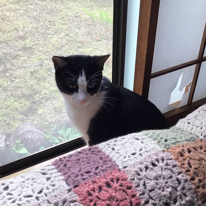 7e646b5d b14e 4b2c b2ea 1a6687358ee4 1653962797585