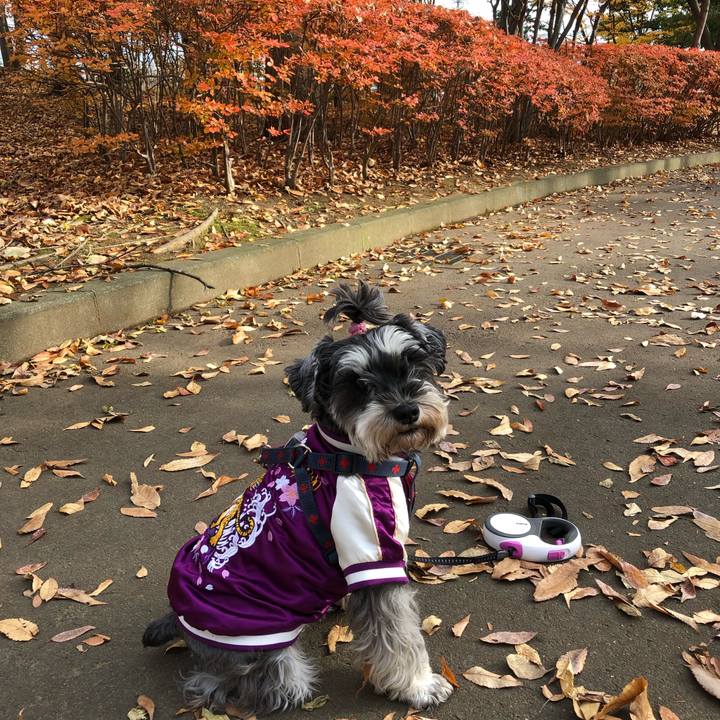 7e64901f 9fd1 476b 98c2 d185caa11b74 1637559094019