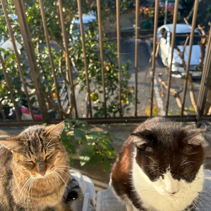 7e64a97c fd94 4324 a51e 247fb22a7098 1764319557590