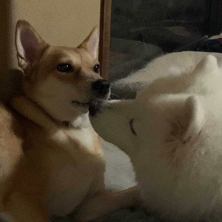 7e64b360 926b 4fe3 995e 78051016f770 1600558906670