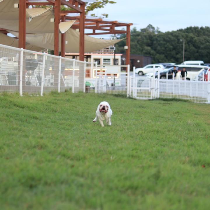 7e64b49d 91a2 4ea7 88fc 4c047d8be52d 1510143081774