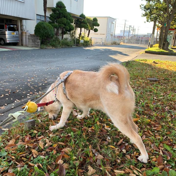 7e64e848 ef98 4673 b0dc bf5df4befd53 1575787735143