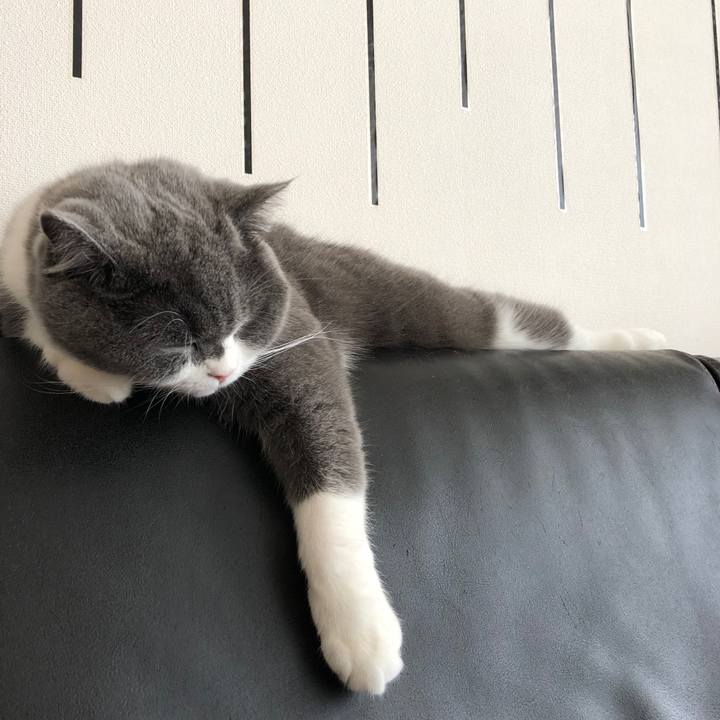 7e64fe32 ad26 4ac3 80d5 b26d7d07b726 1543110177051