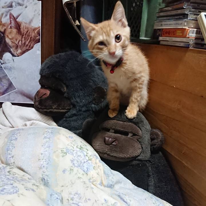 7e651fc4 4345 48ef 867b 45fe18e25679 1631708663963