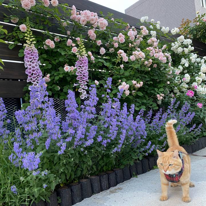 7e653171 7073 47af b67b 86fba519413e 1654037395087