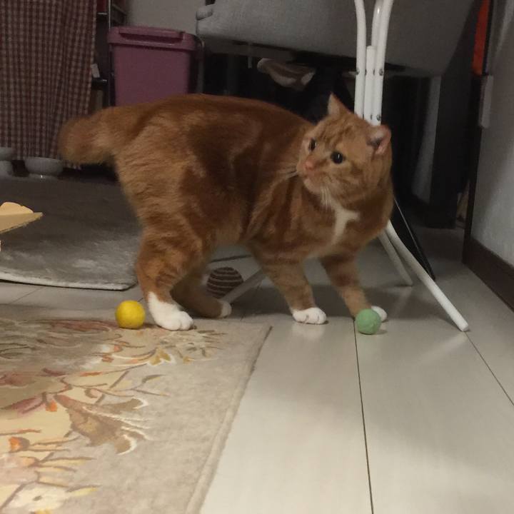 7e654bcf e483 4045 9847 b9b6931f1887 1552953191677