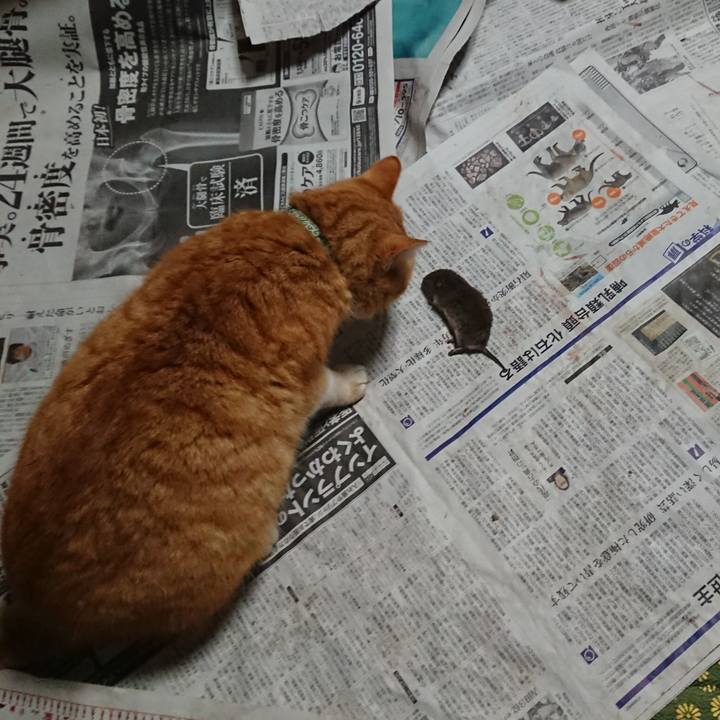 7e65bcd7 830f 468a ab1d 3f775a18eb7f 1582797337735