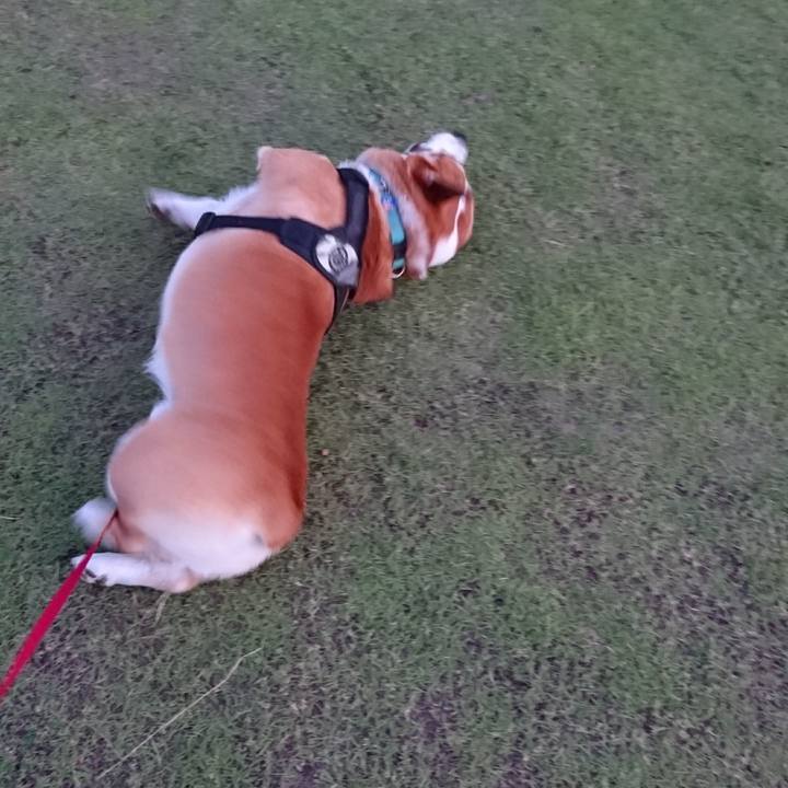 7e65c3cb 8eb3 487f aa13 e0678f4317c9 1625969078056