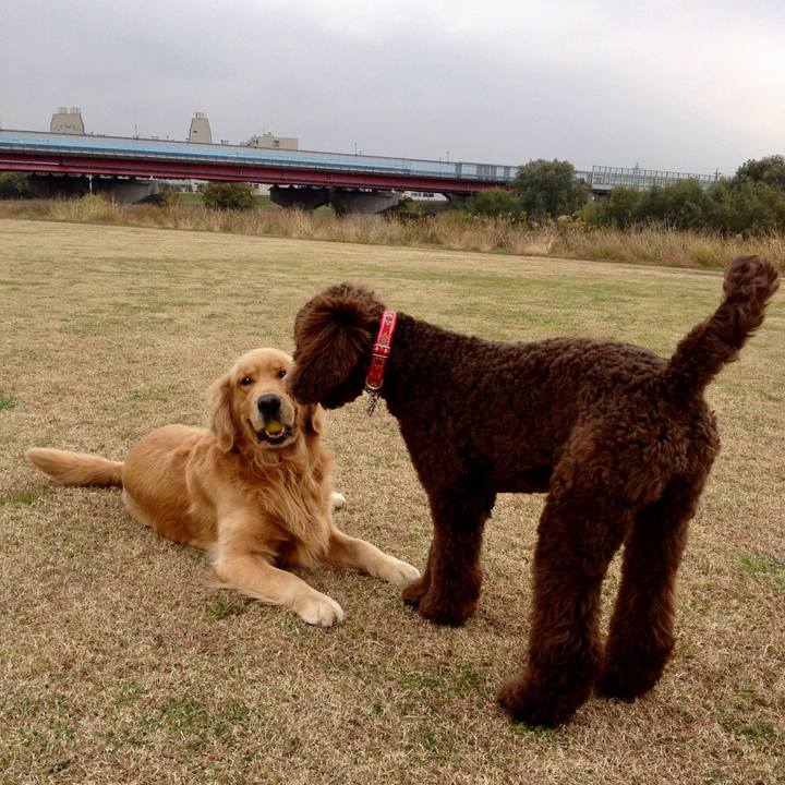 7e6648af ca56 49c9 a1af 3523d8e310ec 1522218683089