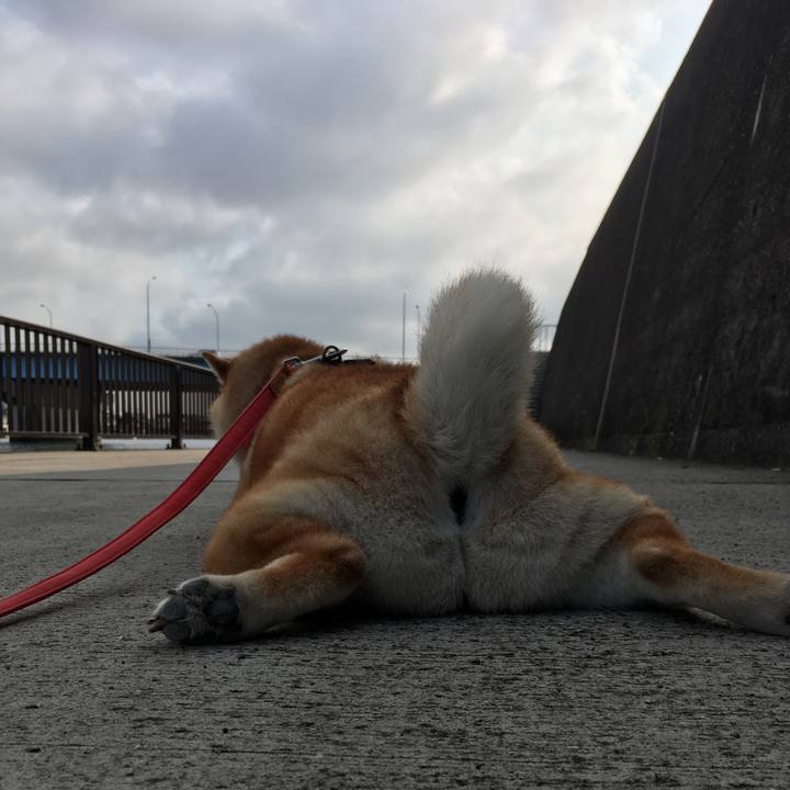 7e665794 c944 49d1 b8f1 1d0a89339ebd 1596497956804