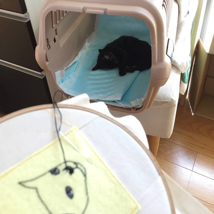 7e66710f fafc 496d 89cf 828ebc030d06 1564896432348