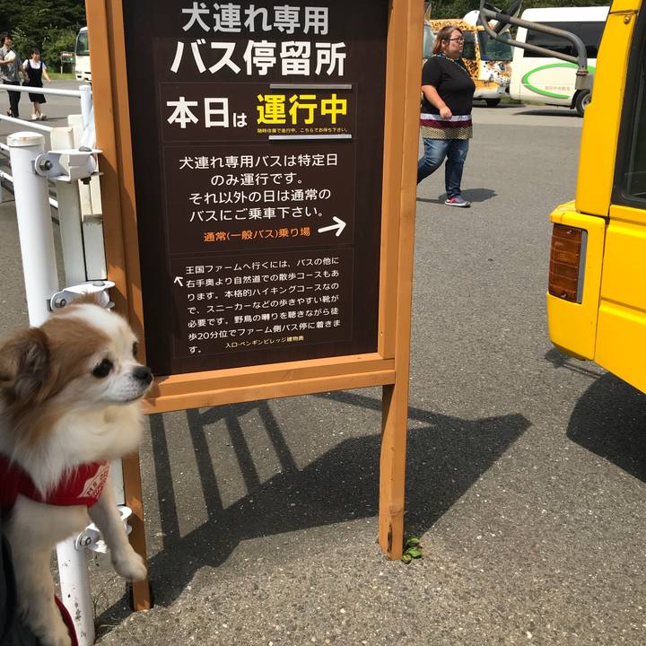 7e669ab4 24ec 44da 9899 284f2905611a 1535254014621