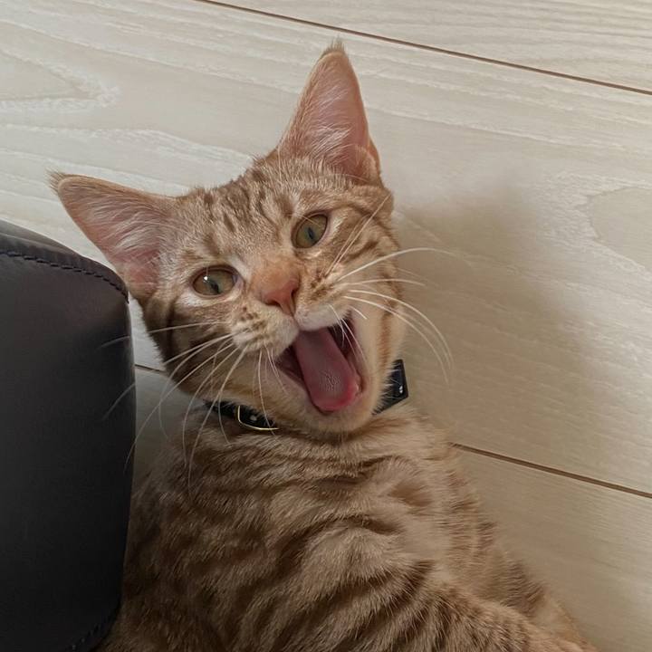 7e669c42 5a21 4592 906c 71bc7a5974a8 1679356708310