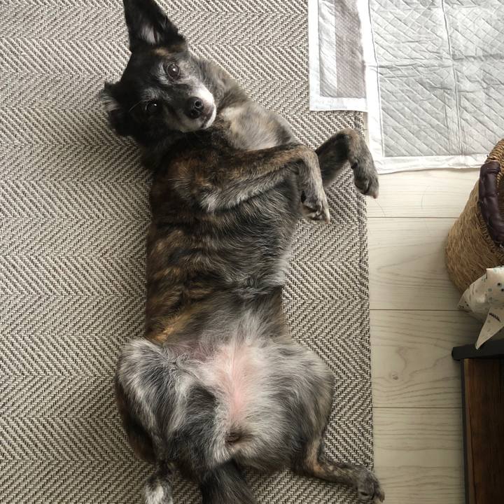 7e66bbb3 8d69 4166 ab63 3f8a0d9962dc 1690203933184