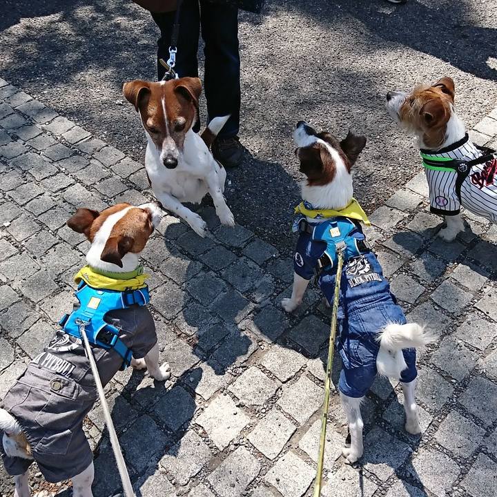 7e66d3a5 0577 4af8 9f30 d42f616fafd4 1555139612953