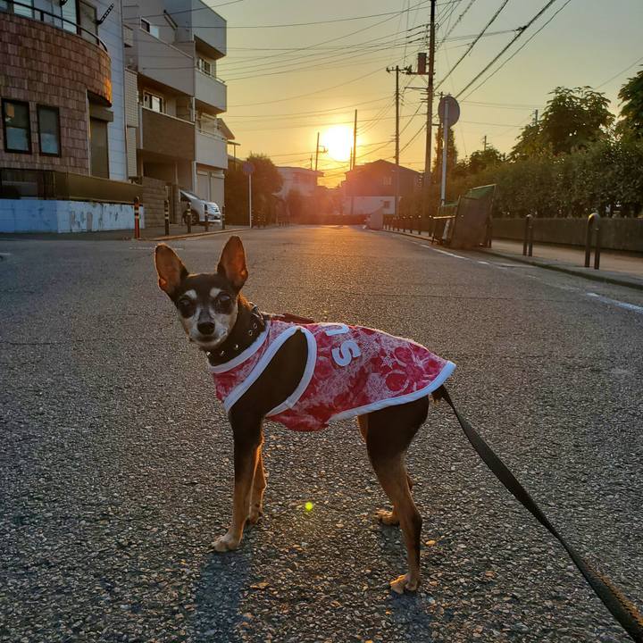 7e66e83d a15f 4023 a824 d7102945fe00 1666518162118