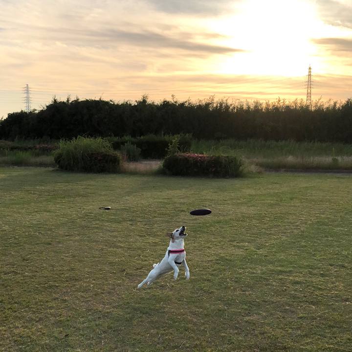 7e6700e4 e20c 474c afc1 43f91c794e8d 1526993033220