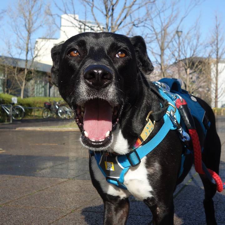 7e671018 1cc9 4191 b2e0 b7fb775c6709 1616979491845