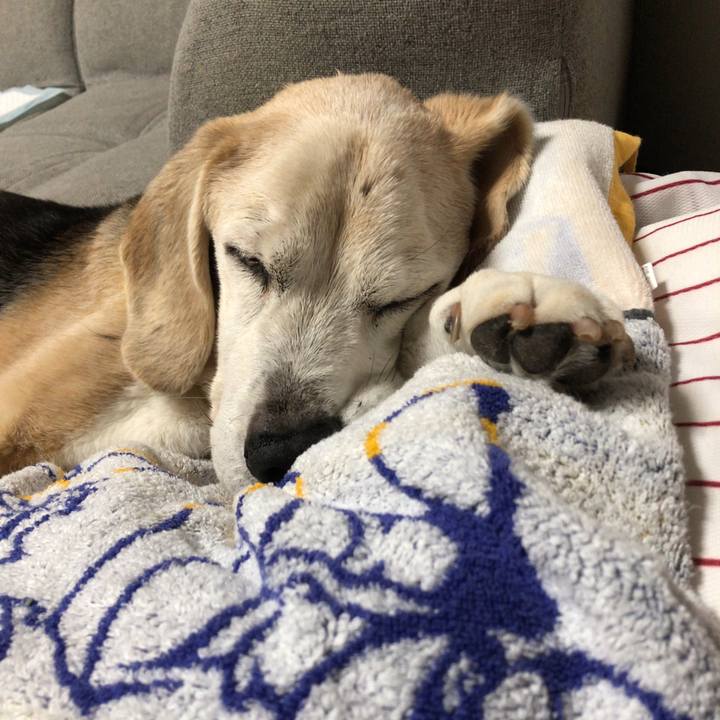 7e675fbc 5502 4668 bd2d 3d74b6eb5518 1625229682866