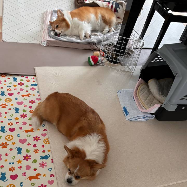 7e676712 0b58 4224 86eb e7fafdef4fa7 1761442709272