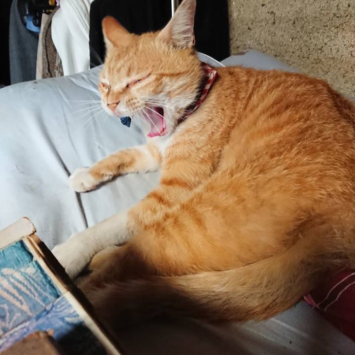 7e678df2 4edc 48bd b585 26d613a69cdf 1558857648349