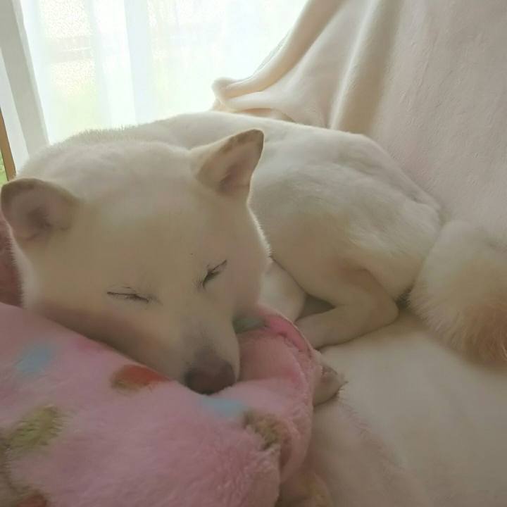 7e67a0f3 35f0 497f aa70 44d038a96eab 1587782444978