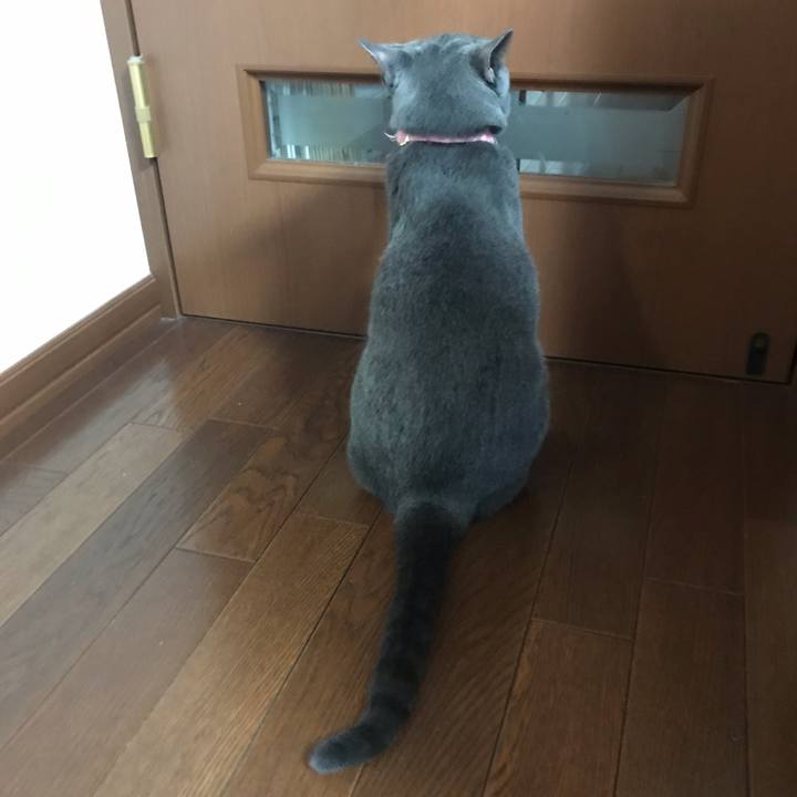 7e67a5ce 685f 4c66 bfe5 37ed03b87798 1560387172046