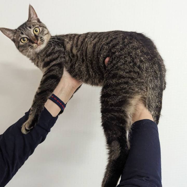 7e67aa14 9f4a 44ff b049 c62016fd7cd9 1713503626328