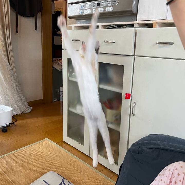 7e67bd93 e3e0 467c b84a 0b1a5f21fd1a 1662172466023