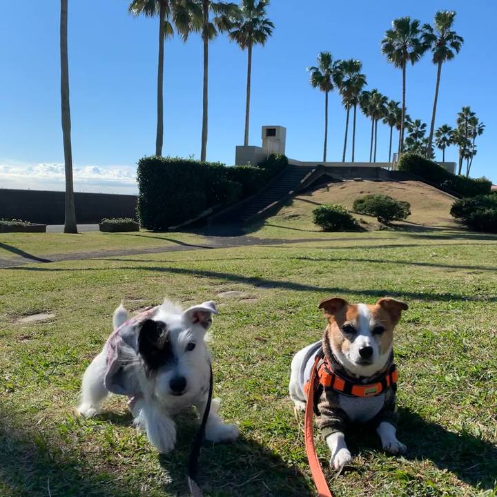 7e67cf54 8cba 48ac 944f 93d942b00e50 1637975929602