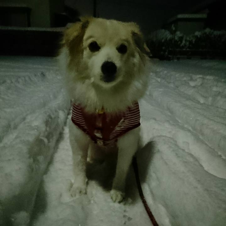 7e67d836 c364 465e 9ee6 cc804a6320a6 1516655010363