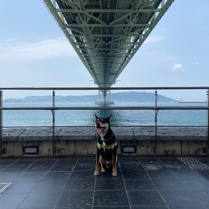 7e67db72 556f 46a2 a015 da349b60f7f9 1624578533935