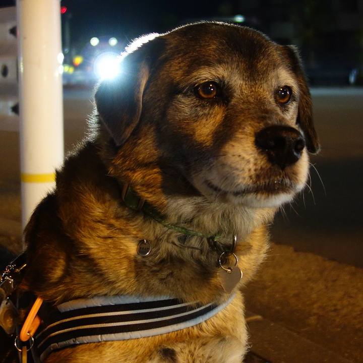 7e68071c 6199 440d 825c 12e42ef9e1e5 1656980550570