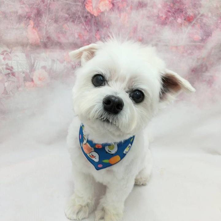 7e683533 3b17 4c42 969b dbf1eeecee36 1737279981669